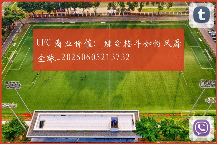 UFC 商业价值：综合格斗如何风靡全球_20260605213732