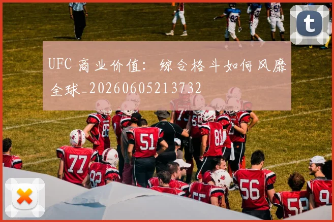 UFC 商业价值：综合格斗如何风靡全球_20260605213732