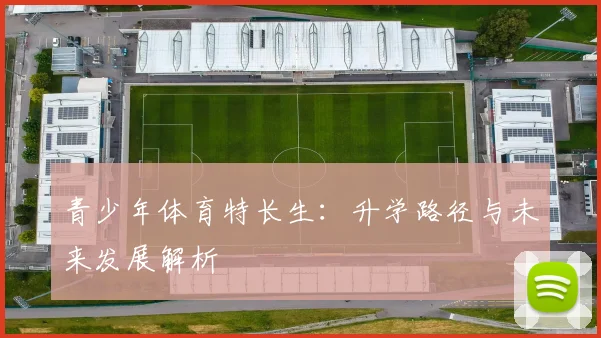 青少年体育特长生：升学路径与未来发展解析